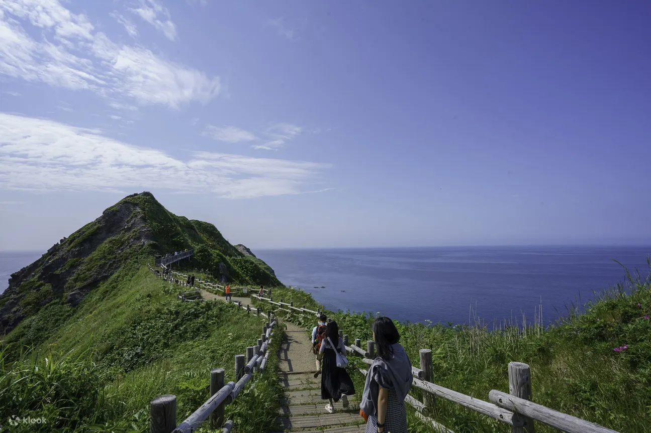 北海道 | 积丹海胆余市威士忌蒸馏所摘果 | 神威岬小樽天狗山绝景一日游